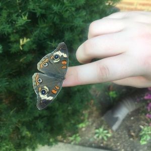 Meet your Posher, Melody